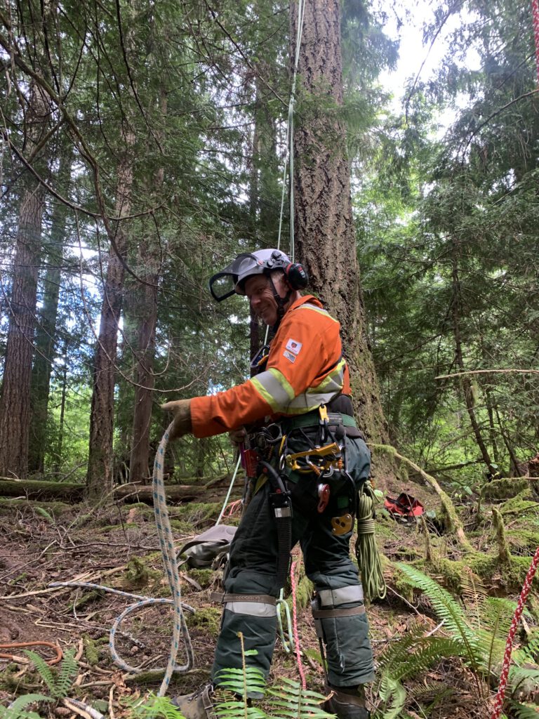 Coastal Arborist performing wildfire mitigation